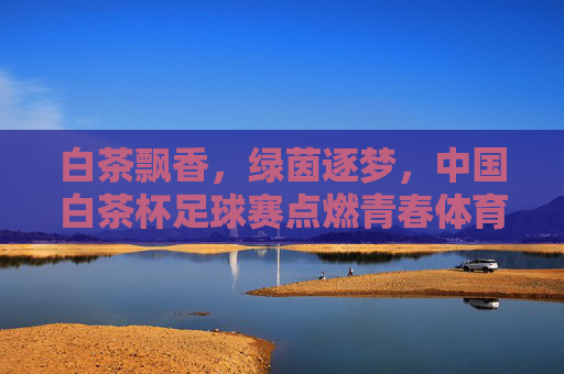 白茶飘香,绿茵逐梦,中国白茶杯足球赛点燃青春体育热情