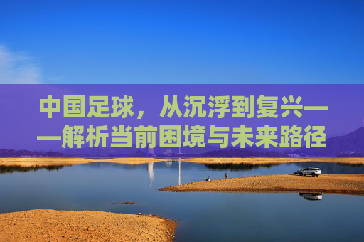中国足球，从沉浮到复兴——解析当前困境与未来路径