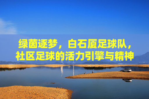 绿茵逐梦,白石厦足球队,社区足球的活力引擎与精神传承