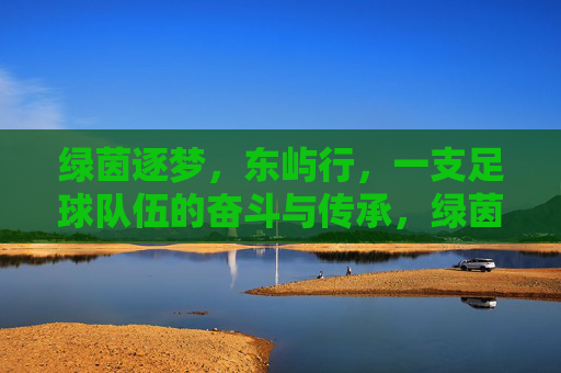 绿茵逐梦，东屿行，一支足球队伍的奋斗与传承，绿茵逐梦，东屿行，一支足球队伍的奋斗与传承