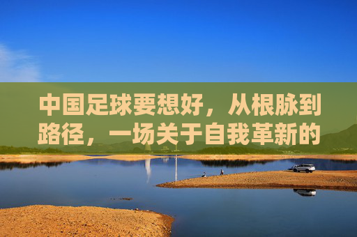 中国足球要想好，从根脉到路径，一场关于自我革新的深度思考