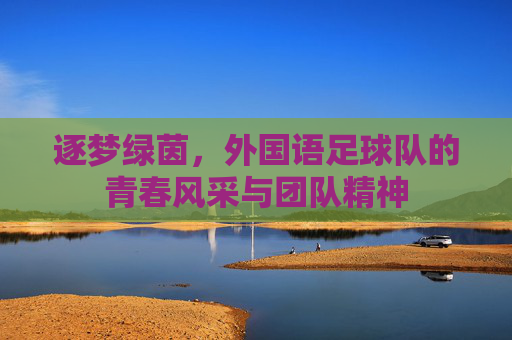 逐梦绿茵，外国语足球队的青春风采与团队精神