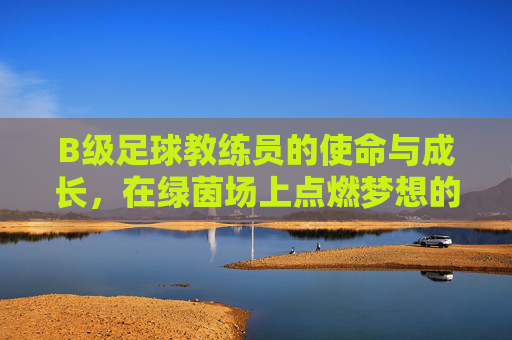B级足球教练员的使命与成长，在绿茵场上点燃梦想的火种，B级足球教练员的使命与成长，在绿茵场上点燃梦想的火种