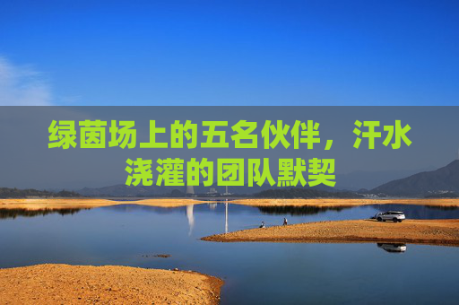 绿茵场上的五名伙伴,汗水浇灌的团队默契