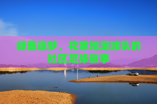 绿茵逐梦,花家地足球队的社区足球故事