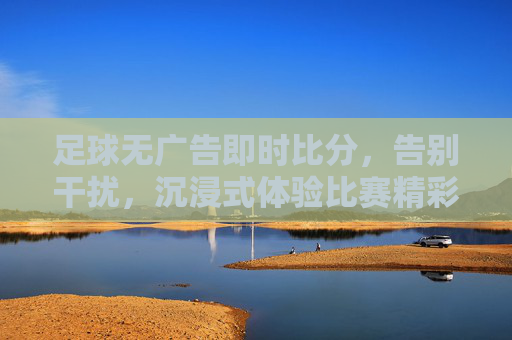 足球无广告即时比分,告别干扰,沉浸式体验比赛精彩