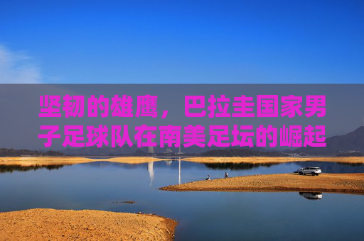 坚韧的雄鹰,巴拉圭国家男子足球队在南美足坛的崛起与辉煌