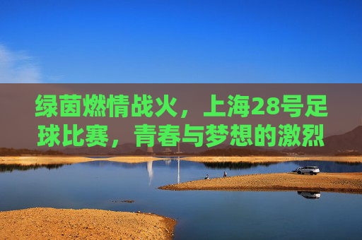 绿茵燃情战火，上海28号足球比赛，青春与梦想的激烈碰撞