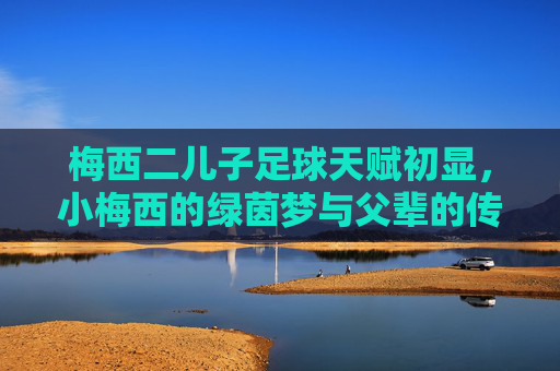 梅西二儿子足球天赋初显,小梅西的绿茵梦与父辈的传承,梅西二儿子足球天赋初显,小梅西的绿茵梦与父辈的传承
