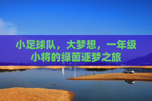 小足球队,大梦想,一年级小将的绿茵逐梦之旅