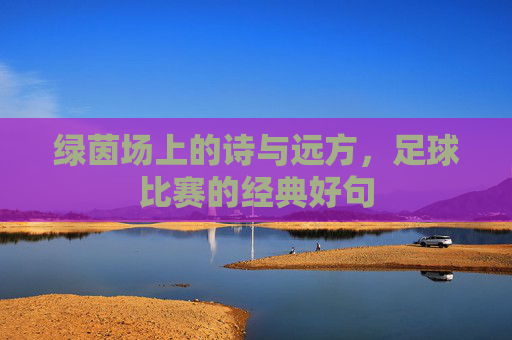 绿茵场上的诗与远方,足球比赛的经典好句