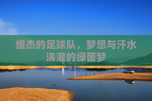 维杰的足球队，梦想与汗水浇灌的绿茵梦