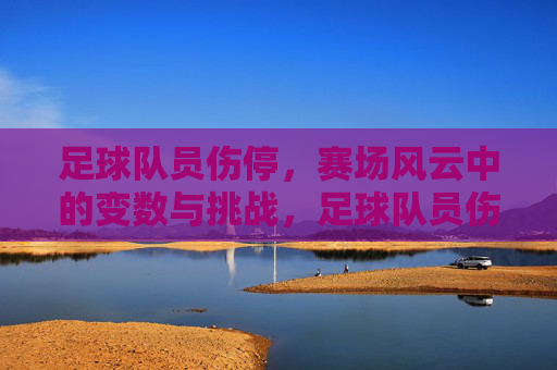 足球队员伤停,赛场风云中的变数与挑战,足球队员伤停,赛场风云中的变数与挑战