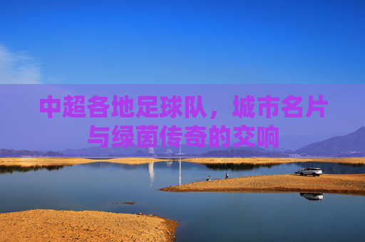 中超各地足球队,城市名片与绿茵传奇的交响