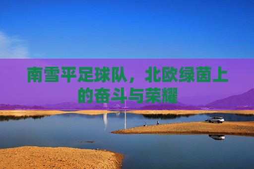 南雪平足球队,北欧绿茵上的奋斗与荣耀