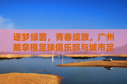 逐梦绿茵，青春绽放，广州戴拿模足球俱乐部与城市足球的活力新声