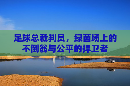 足球总裁判员,绿茵场上的不倒翁与公平的捍卫者