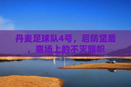 丹麦足球队4号，后防坚盾，赛场上的不灭旗帜