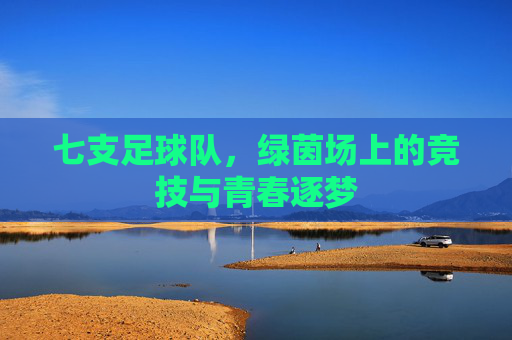 七支足球队,绿茵场上的竞技与青春逐梦
