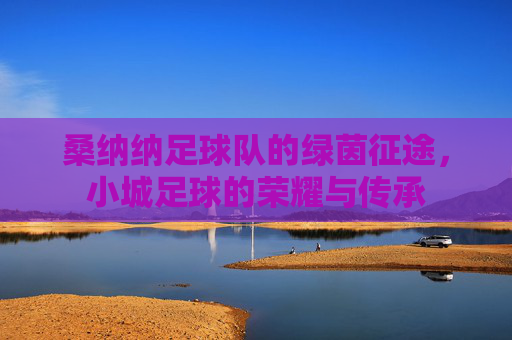 桑纳纳足球队的绿茵征途,小城足球的荣耀与传承