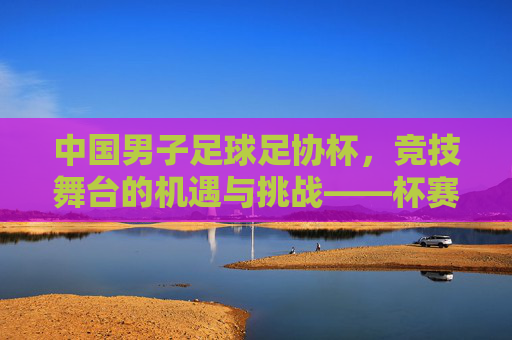 中国男子足球足协杯,竞技舞台的机遇与挑战——杯赛体系下球队发展的第二舞台