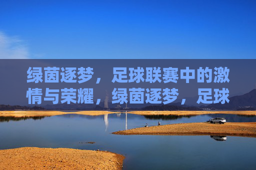 绿茵逐梦，足球联赛中的激情与荣耀，绿茵逐梦，足球联赛中的激情与荣耀