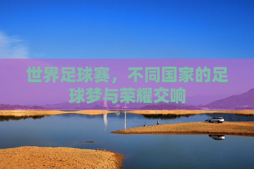 世界足球赛，不同国家的足球梦与荣耀交响