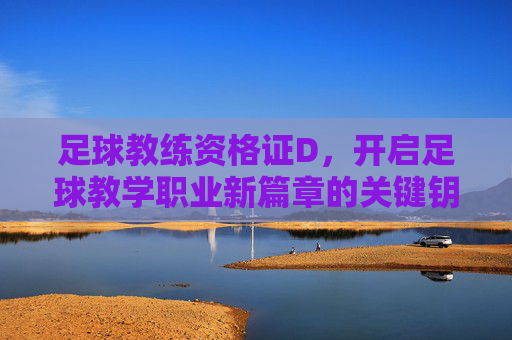 足球教练资格证D，开启足球教学职业新篇章的关键钥匙