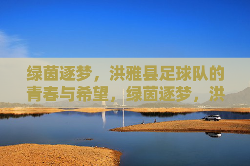 绿茵逐梦，洪雅县足球队的青春与希望，绿茵逐梦，洪雅县足球队的青春与希望