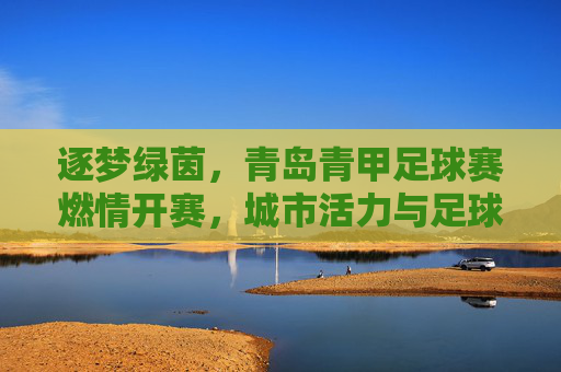 逐梦绿茵,青岛青甲足球赛燃情开赛,城市活力与足球激情的完美融合