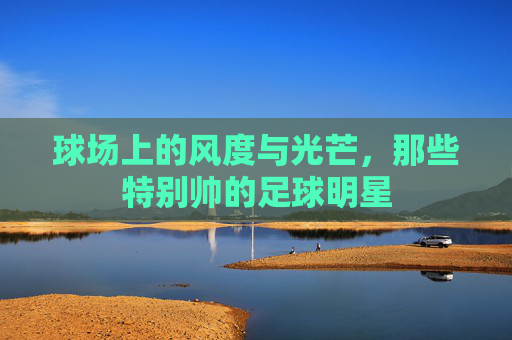球场上的风度与光芒,那些特别帅的足球明星