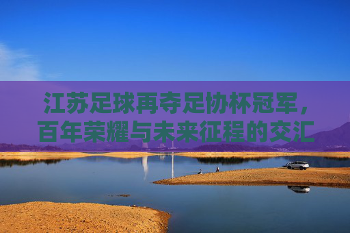 江苏足球再夺足协杯冠军，百年荣耀与未来征程的交汇点