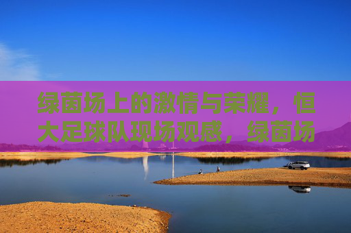 绿茵场上的激情与荣耀，恒大足球队现场观感，绿茵场上的激情与荣耀，恒大足球队现场观感