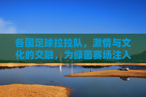 各国足球拉拉队，激情与文化的交融，为绿茵赛场注入灵魂，各国足球拉拉队，激情与文化的交融，为绿茵赛场注入灵魂