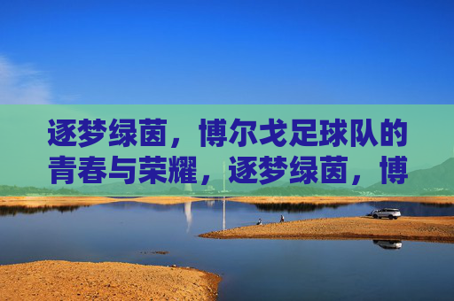 逐梦绿茵，博尔戈足球队的青春与荣耀，逐梦绿茵，博尔戈足球队的青春与荣耀