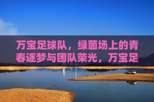 万宝足球队，绿茵场上的青春逐梦与团队荣光，万宝足球队，绿茵场上的青春逐梦与团队荣光