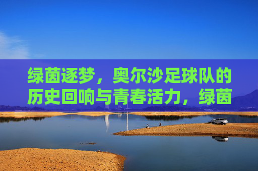 绿茵逐梦，奥尔沙足球队的历史回响与青春活力，绿茵逐梦，奥尔沙足球队的历史回响与青春活力