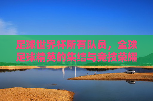 足球世界杯所有队员，全球足球精英的集结与竞技荣耀，足球世界杯，全球足球精英的集结与竞技荣耀