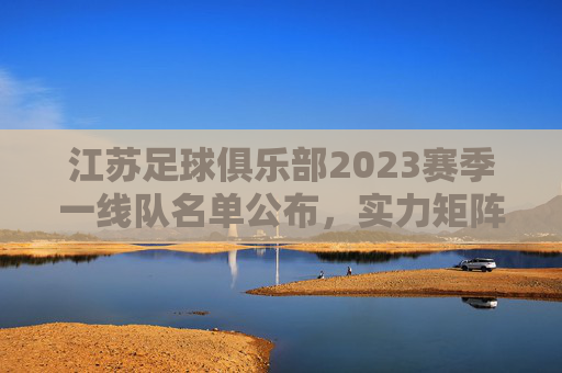 江苏足球俱乐部2023赛季一线队名单公布,实力矩阵与未来期待