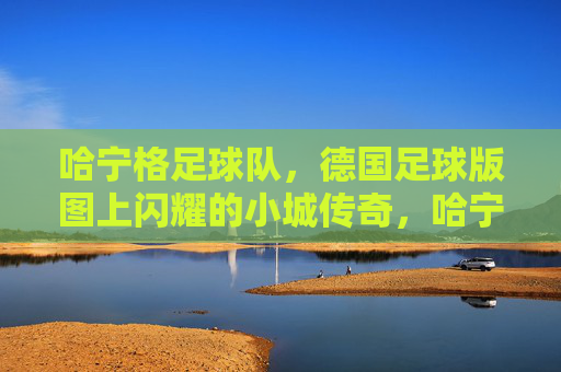 哈宁格足球队，德国足球版图上闪耀的小城传奇，哈宁格足球队，德国足球版图上闪耀的小城传奇