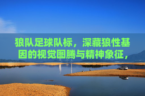 狼队足球队标,深藏狼性基因的视觉图腾与精神象征,狼队足球队标,深藏狼性基因的视觉图腾与精神象征