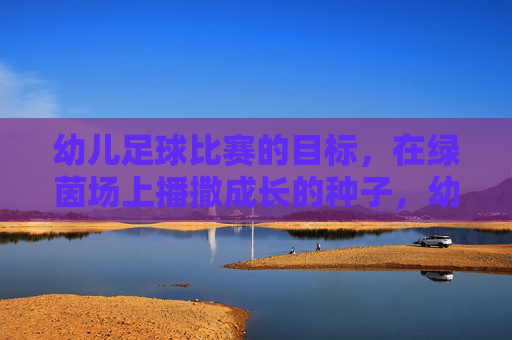 幼儿足球比赛的目标,在绿茵场上播撒成长的种子,幼儿足球比赛,在绿茵场上播撒成长的种子
