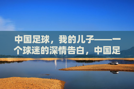 中国足球,我的儿子——一个球迷的深情告白,中国足球,我的儿子——一个球迷的深情告白