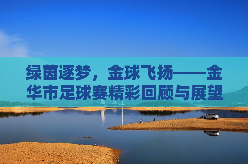 绿茵逐梦,金球飞扬——金华市足球赛精彩回顾与展望
