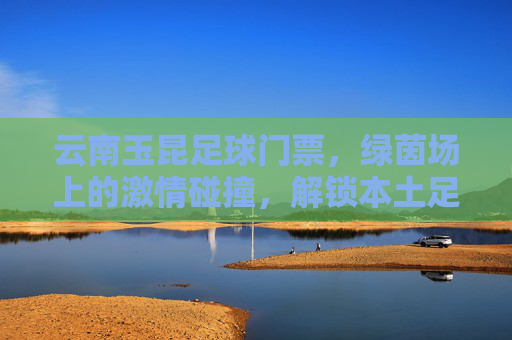 云南玉昆足球门票，绿茵场上的激情碰撞，解锁本土足球新体验，云南玉昆足球门票，绿茵场上的激情碰撞，解锁本土足球新体验