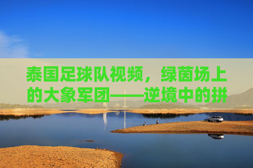 泰国足球队视频,绿茵场上的大象军团——逆境中的拼搏与民族精神的闪耀