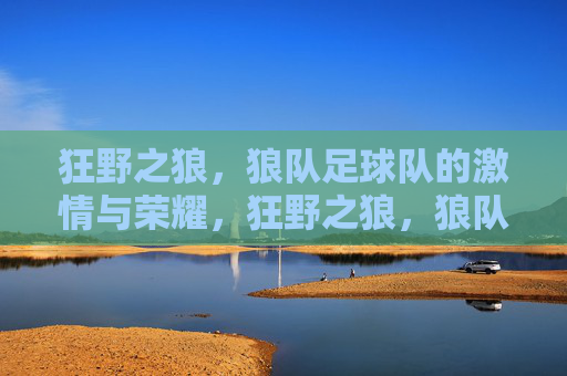 狂野之狼,狼队足球队的激情与荣耀,狂野之狼,狼队足球队的激情与荣耀