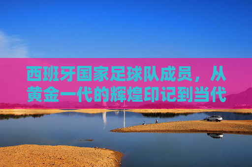 西班牙国家足球队成员，从黄金一代的辉煌印记到当代的传承力量，西班牙国家足球队，从黄金一代的辉煌印记到当代的传承力量