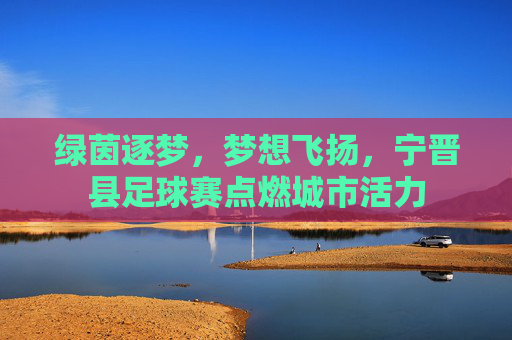 绿茵逐梦,梦想飞扬,宁晋县足球赛点燃城市活力