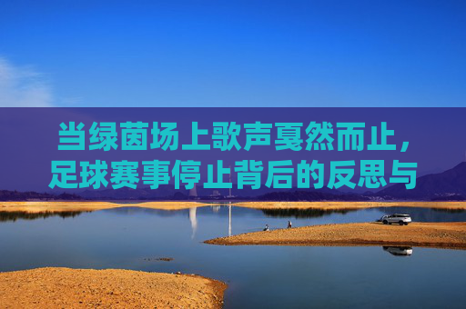 当绿茵场上歌声戛然而止,足球赛事停止背后的反思与期待,当绿茵场上歌声戛然而止,足球赛事停止背后的反思与期待